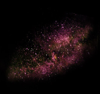 Homepage